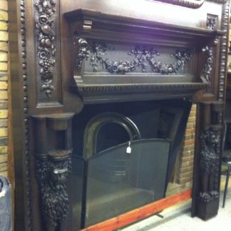 Windsor lion fireplace